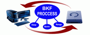 bkf-process-300x117-4558875