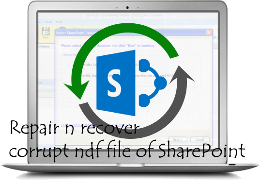 sharepoint-copy-7007096